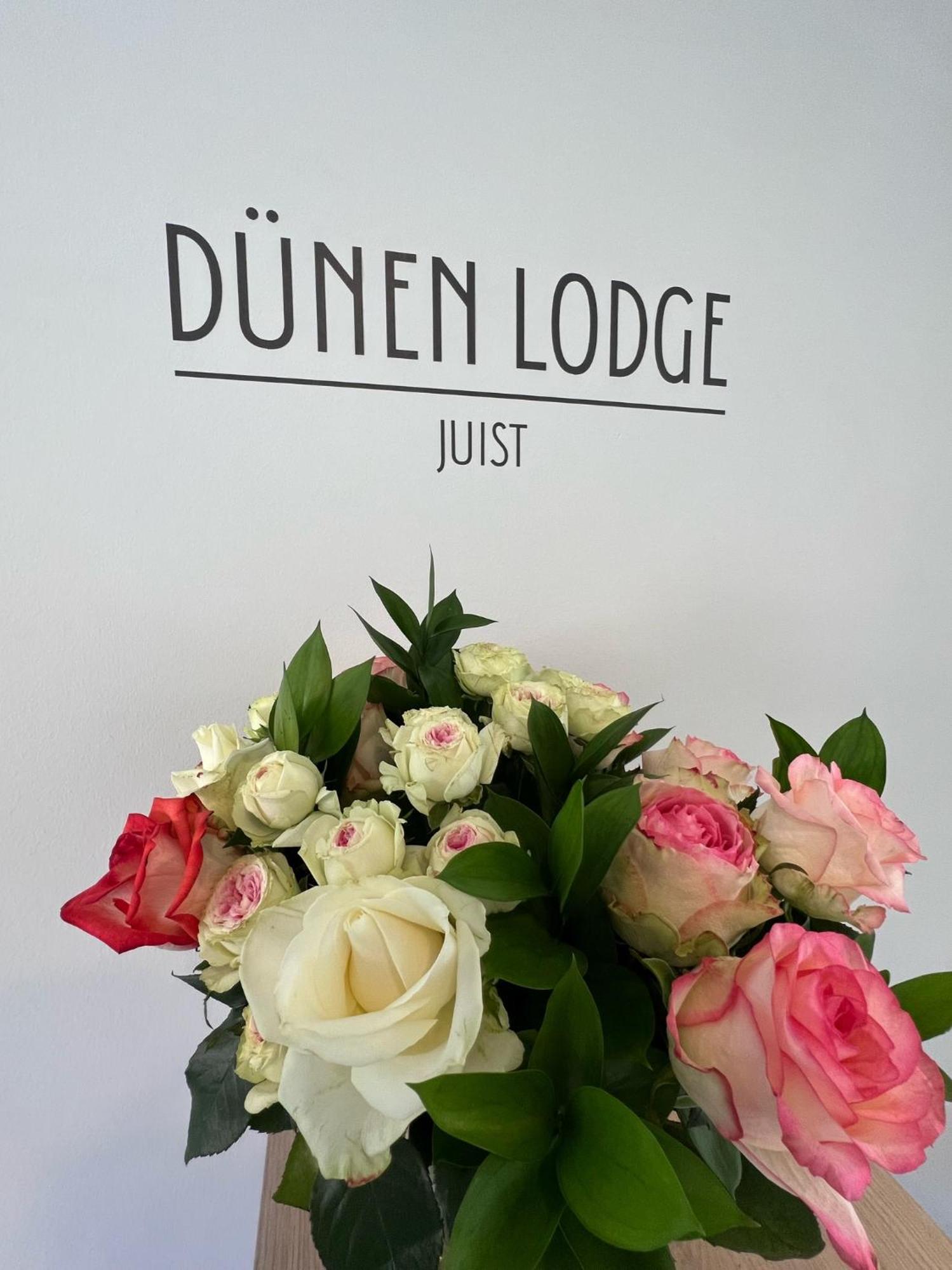 Duenen Lodge 3 Đảo Đảo Juist Ngoại thất bức ảnh